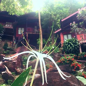Hill 3*, Phi Phi-eilanden Thailand